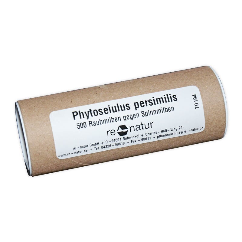 Phytoseiulus persimilis 500 (Raubmilbe gegen Spinnmilben) 1 Phytoseiulus persimilis 500 (Raubmilbe gegen Spinnmilben)