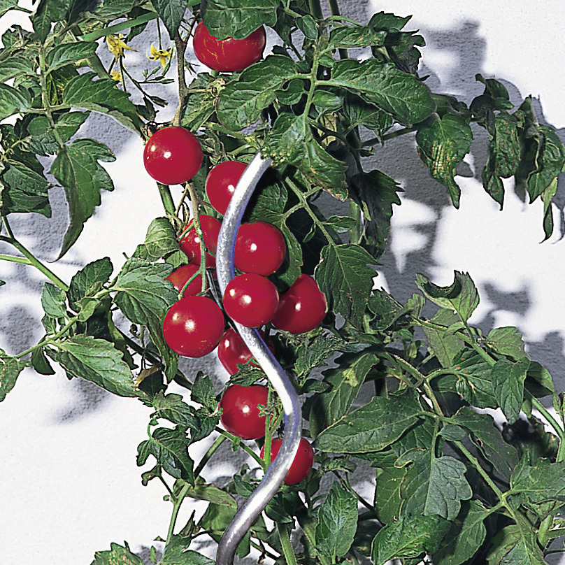 Tomatenspiralstab glanzverzinkt 1 Tomatenspiralstab glanzverzinkt
