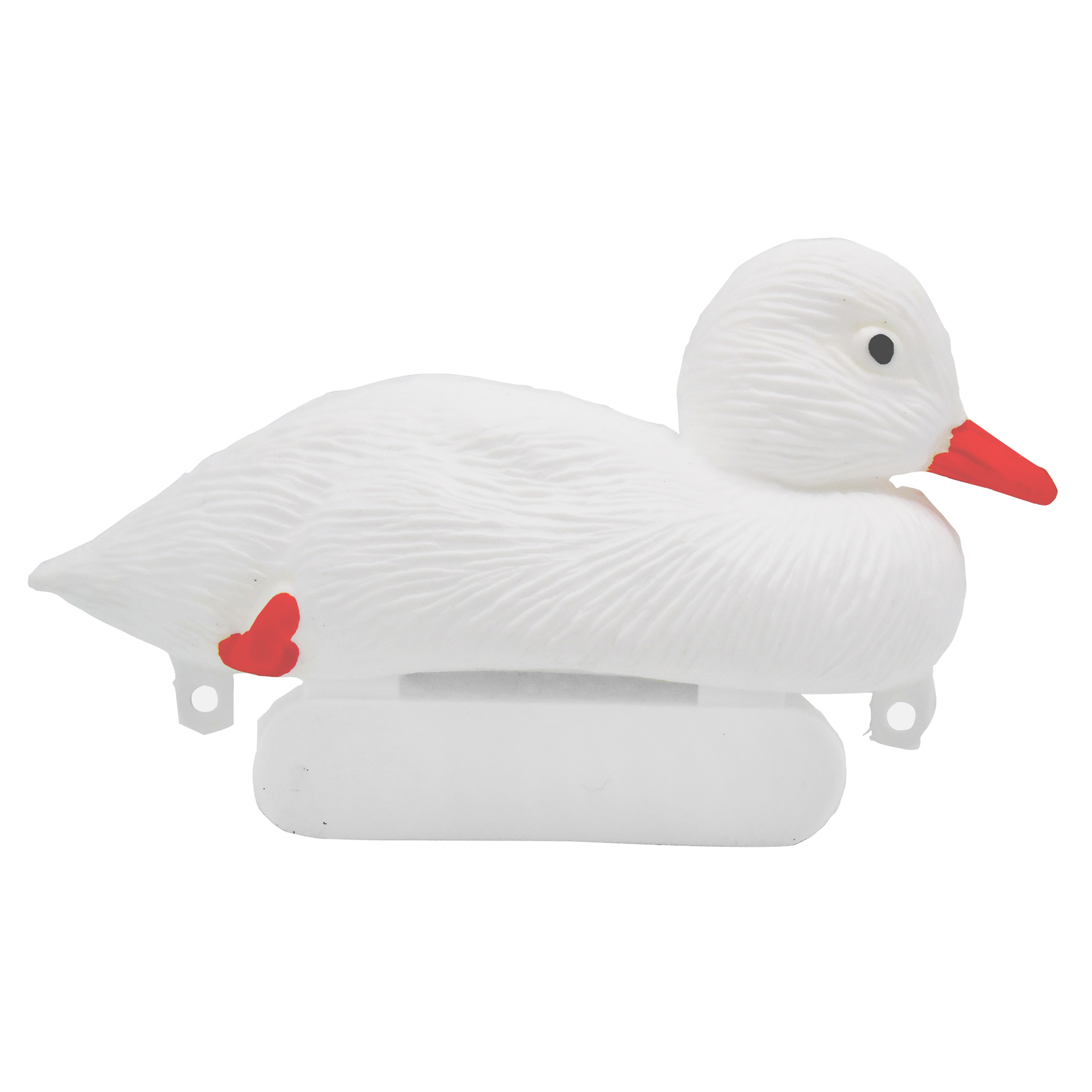 Entenküken 1 Entenküken