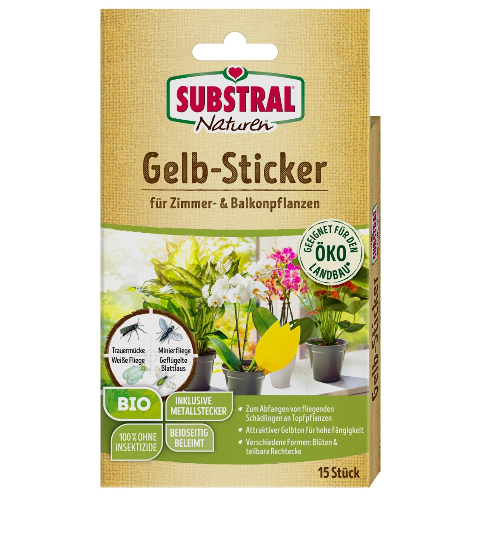 Gelbstecker 1 Gelbstecker
