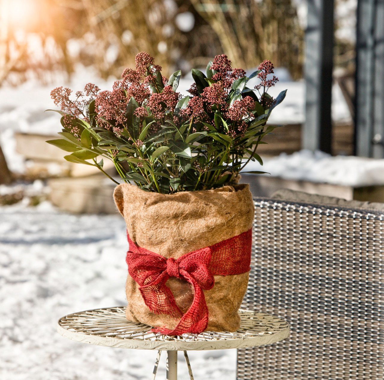 Winterschutz-Vliesmatte 1 Winterschutz-Vliesmatte