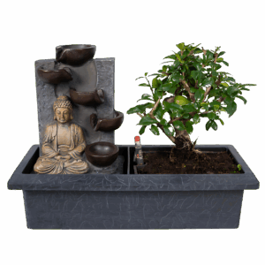 Bonsai-Baum “Meditation” | Bonsai mit Buddha & Wasserfall | +/- 30cm | ø 15cm Topf