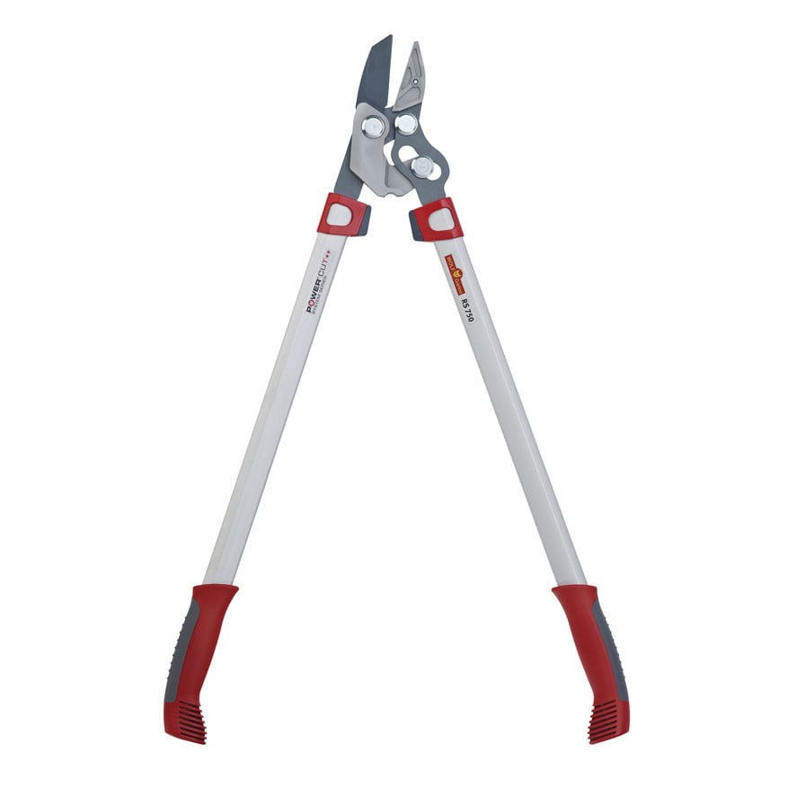 Amboss-Astschere 1 Amboss-Astschere