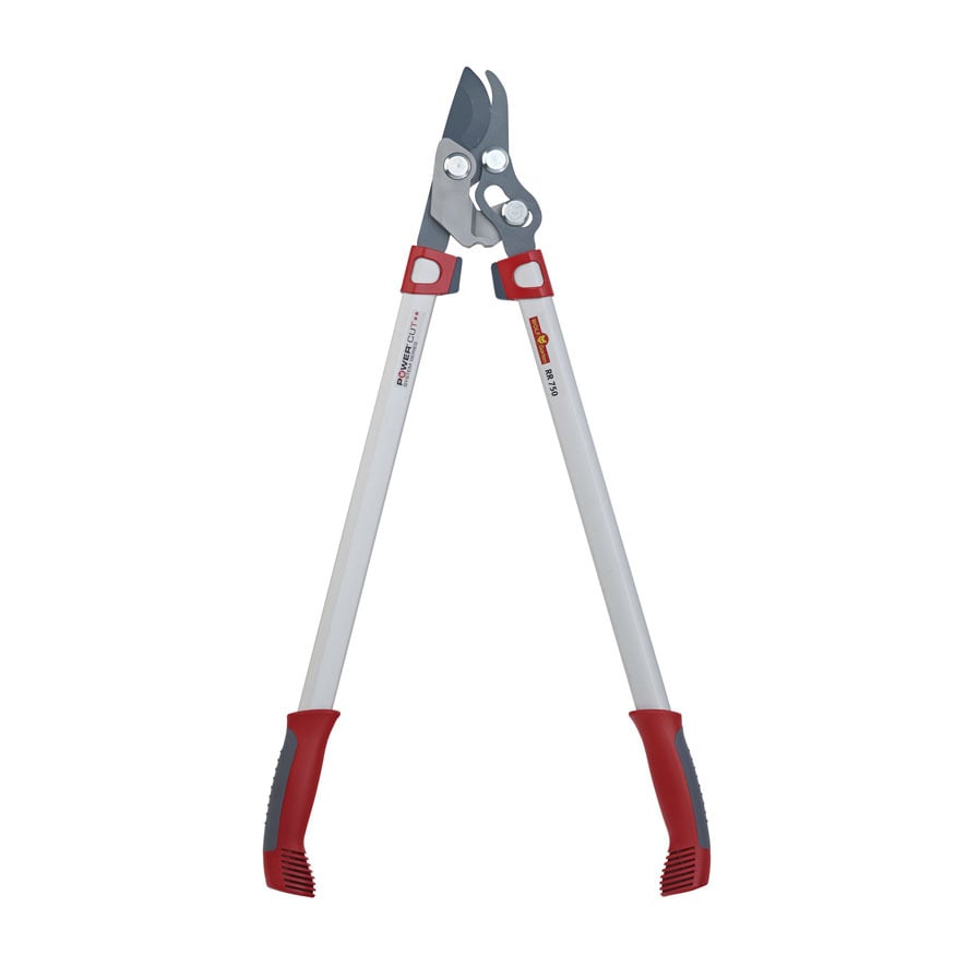 Astschere 2-schneidig 1 Astschere 2-schneidig