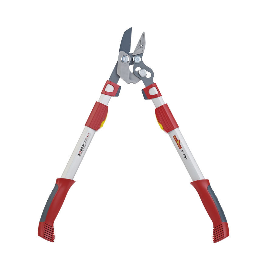 Teleskop-Astschere 1 Teleskop-Astschere