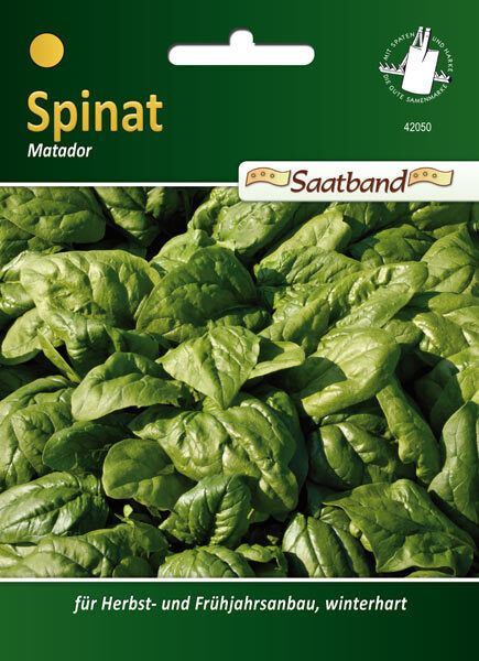 Seitendach für Gerätehaus Europa 1 Seitendach für Gerätehaus Europa