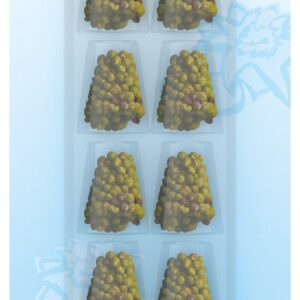 Seerosen Dünge Kegel