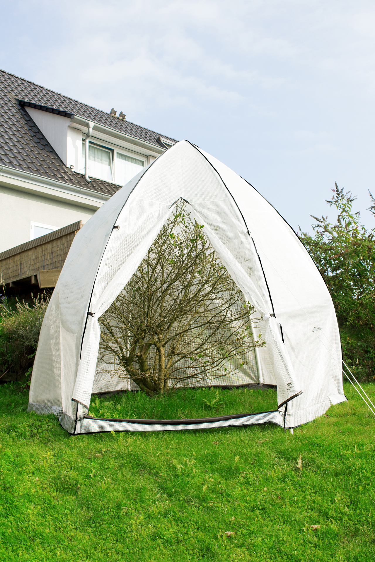 Pergart Pflanzenzelt Hawaii 1 Pergart Pflanzenzelt Hawaii