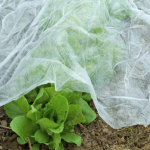 Gartenvlies weiß 1,5x10m