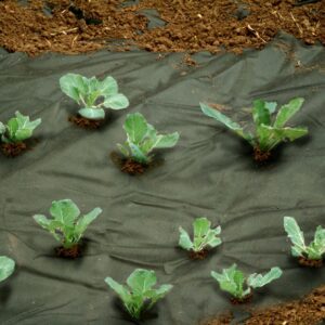 Unkrautvlies schwarz 1,2x10m