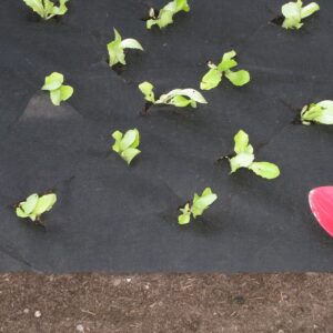 Unkrautvlies Schwarz 1,5X5m