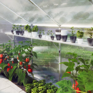 Hängebord für Gewächshaus Tulpe