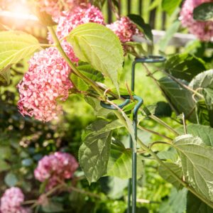 Blumen-/Blütenstütze 7x90cm grün