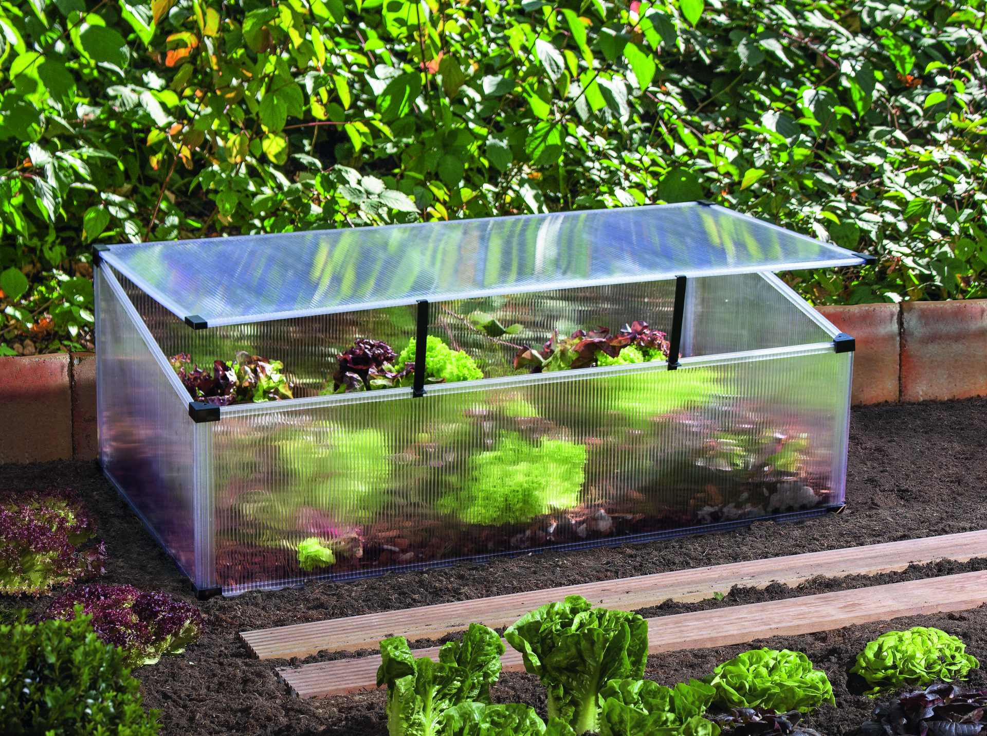 Frühbeet Feronia 1 Frühbeet Feronia