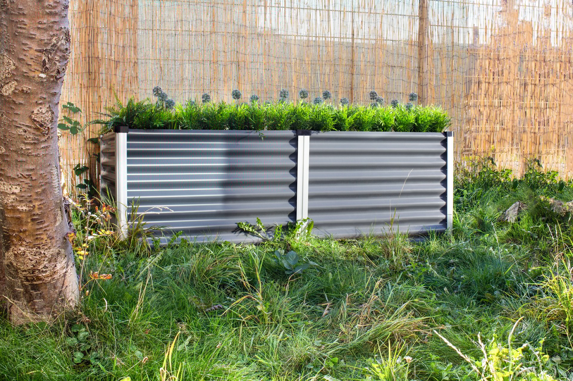 Hochbeet Meta 1 Hochbeet Meta