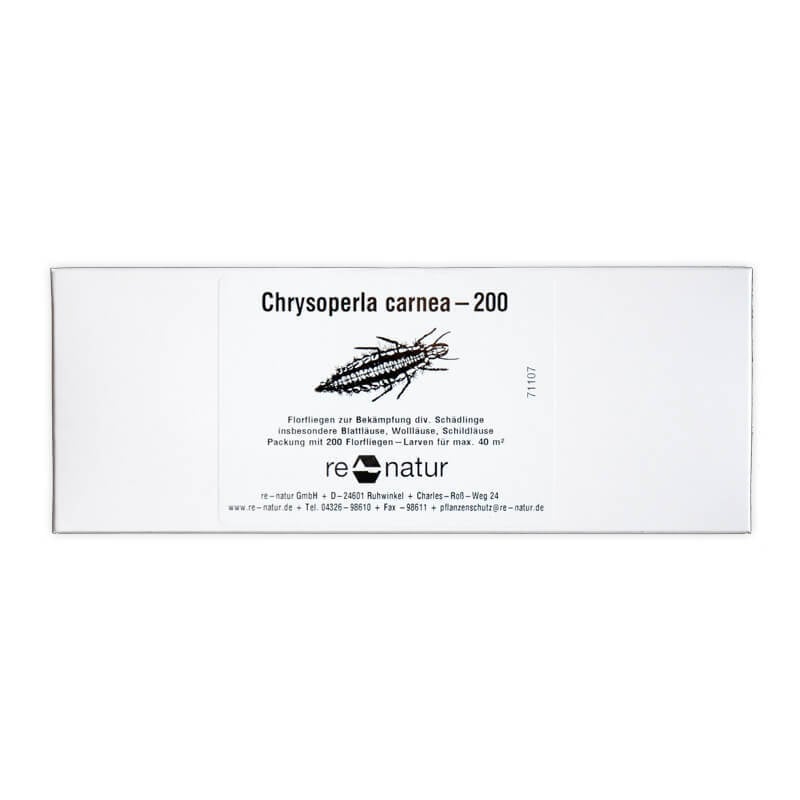 Florfliegenlarven (Chrysoperla carnea ), 200 Stück 1 Florfliegenlarven (Chrysoperla carnea ), 200 Stück