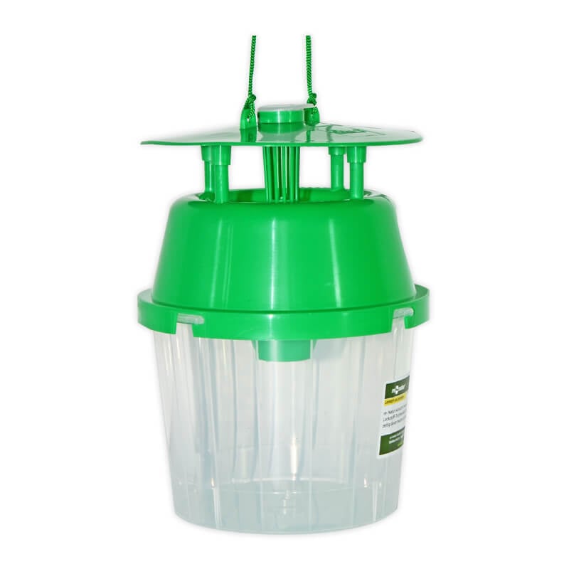 Trichterfalle ohne Lockstoff 1 Trichterfalle ohne Lockstoff