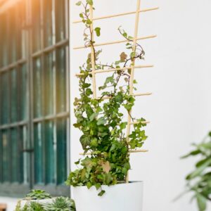 Blumenstütze Bambus, 2 Stk.