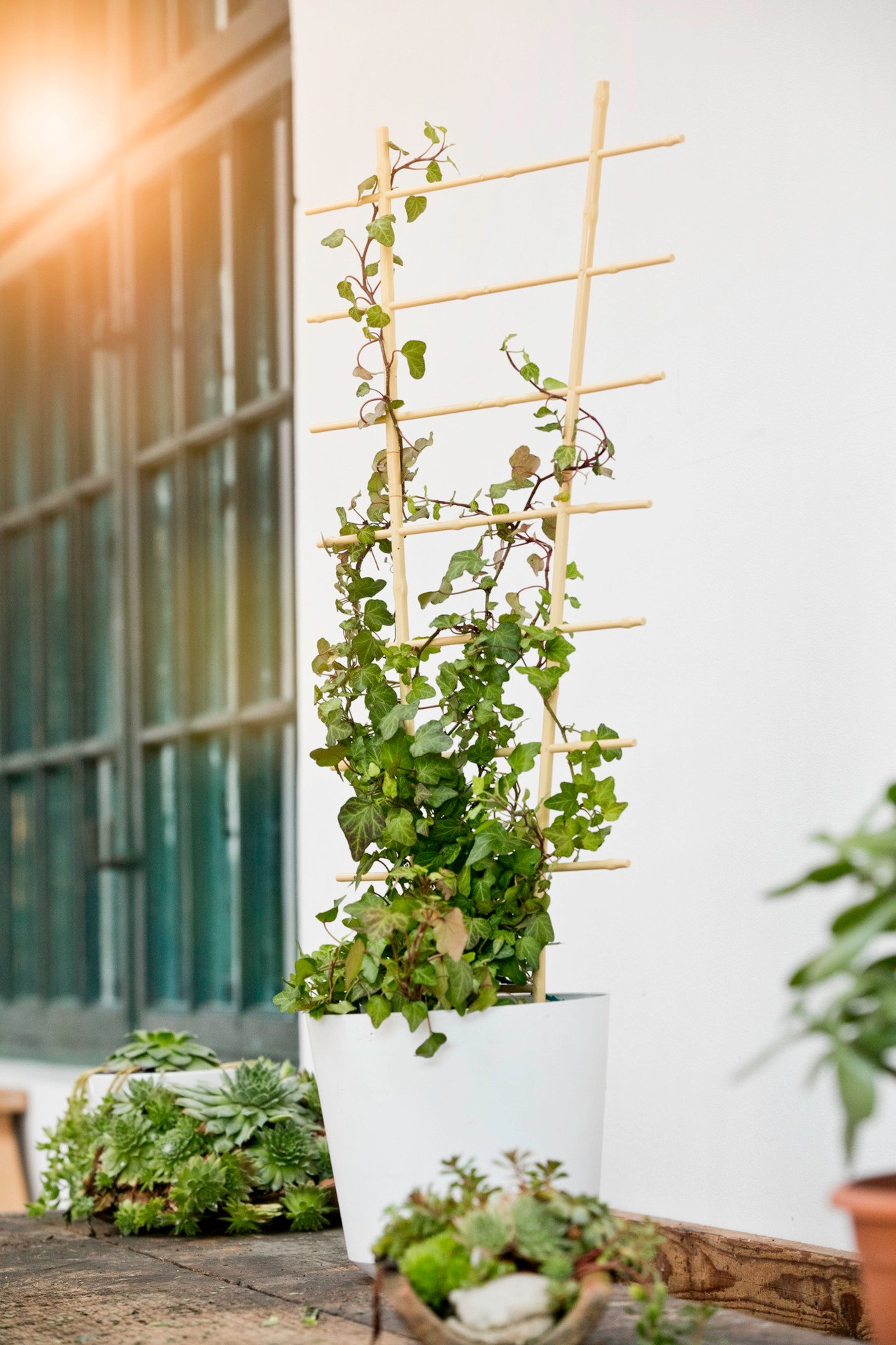 Blumenstütze Bambus, 2 Stk. 1 Blumenstütze Bambus, 2 Stk.