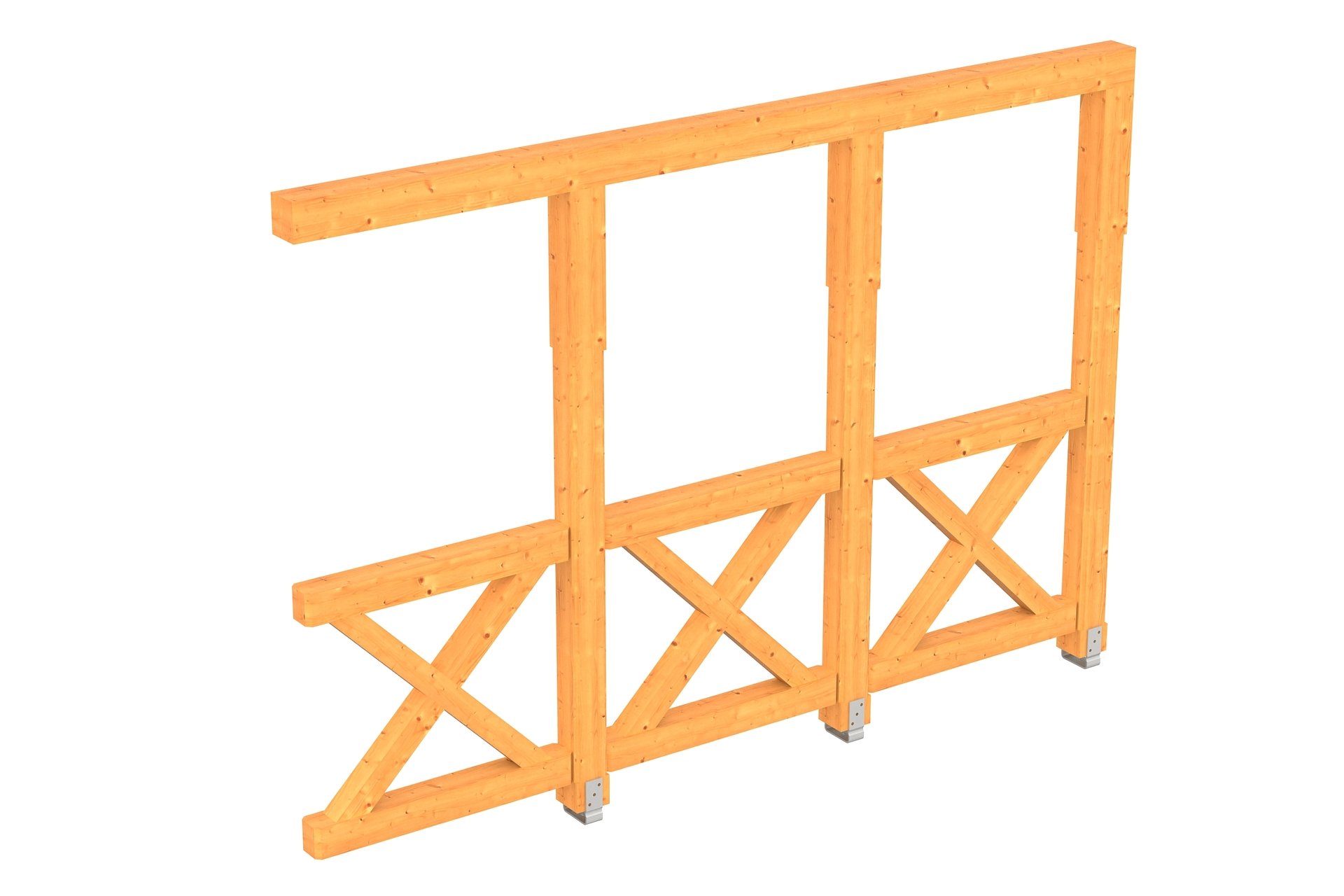 Douglasie 1 Douglasie