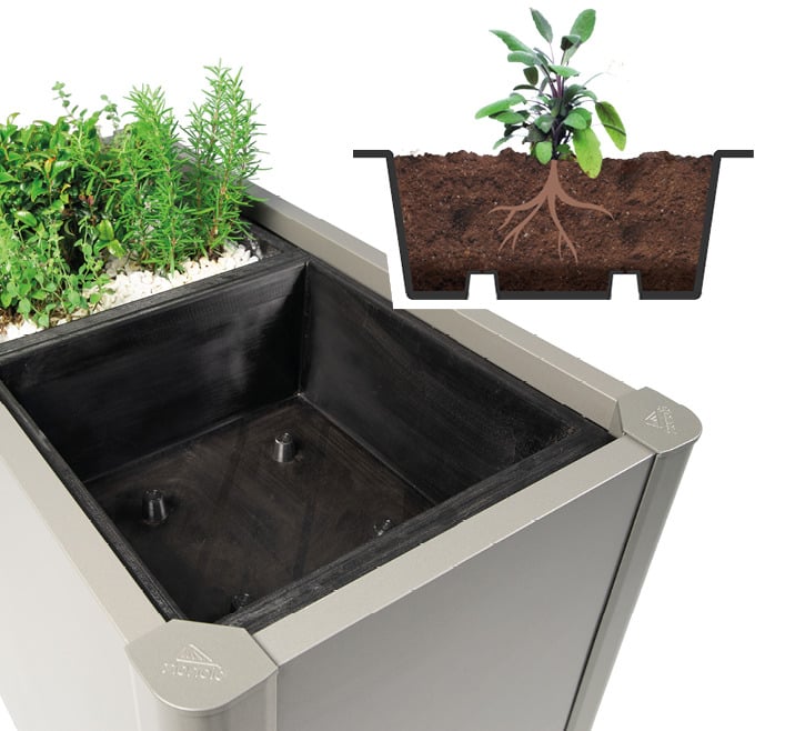 Pflanzeinsatz zu Pflanzbeet Belvedere 1 Pflanzeinsatz zu Pflanzbeet Belvedere