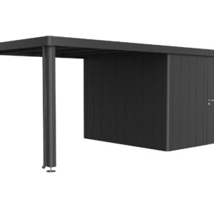 Seitendach zu Gerätehaus Neo