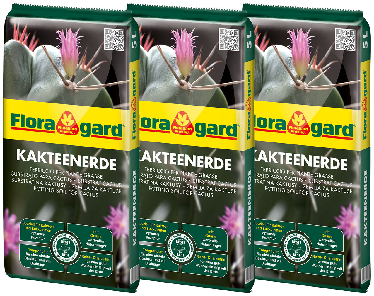 Kakteenerde 1 Kakteenerde