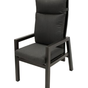 Sessel Hochlehner, Aluminium dunkelgrau mit Polster