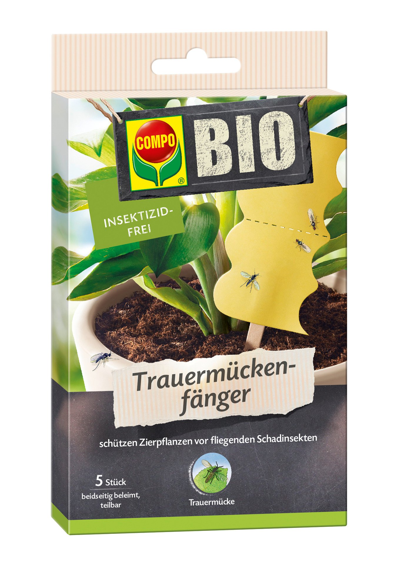 Trauermückenfänger, 5 Stück 1 Trauermückenfänger, 5 Stück