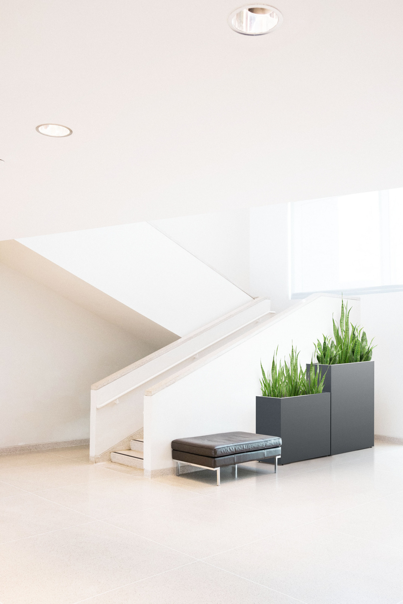 Pflanzkasten 1 Pflanzkasten