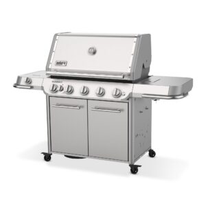 Summit FS38 S Gasgrill