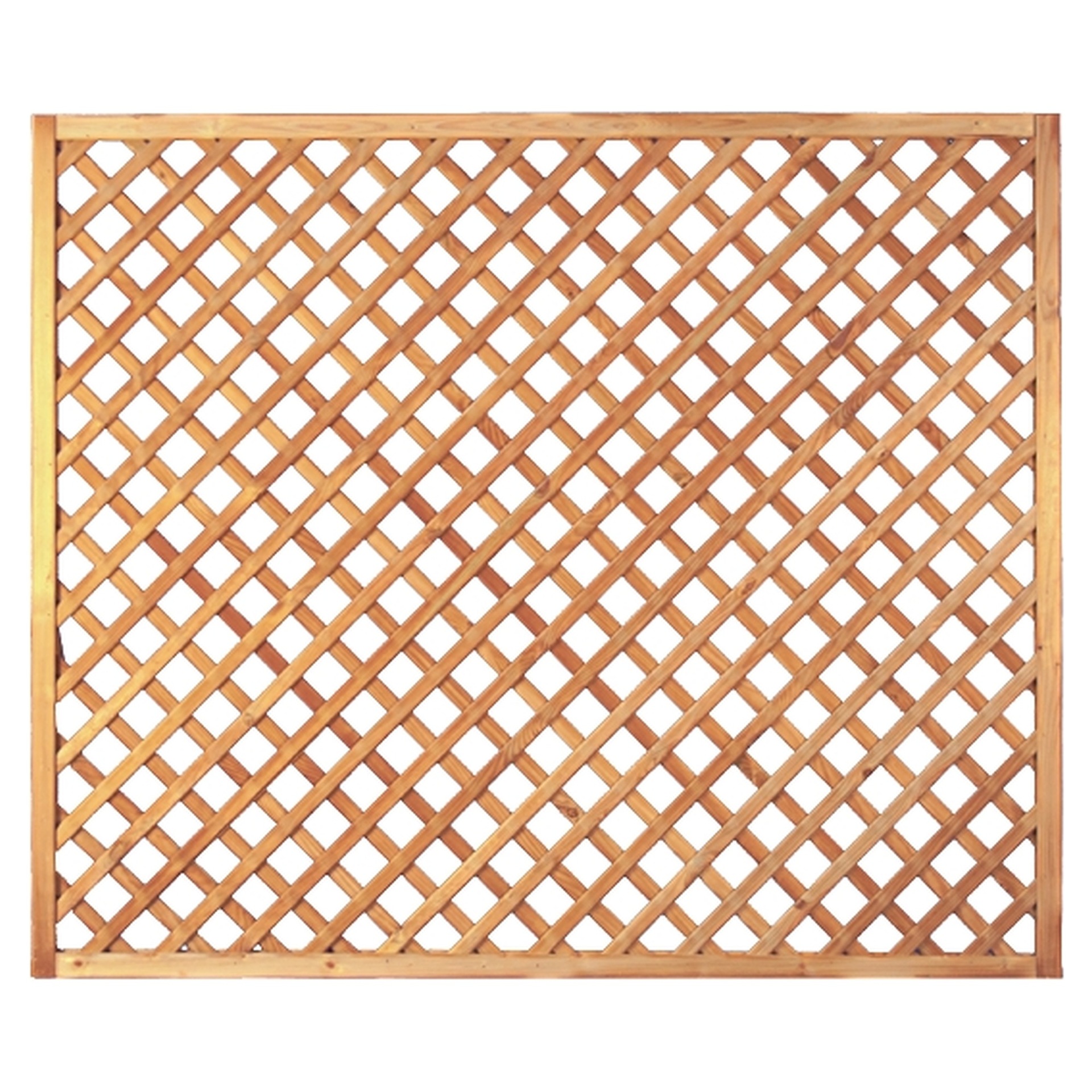 Diagonal-Rankzaun, genagelt 1 Diagonal-Rankzaun, genagelt