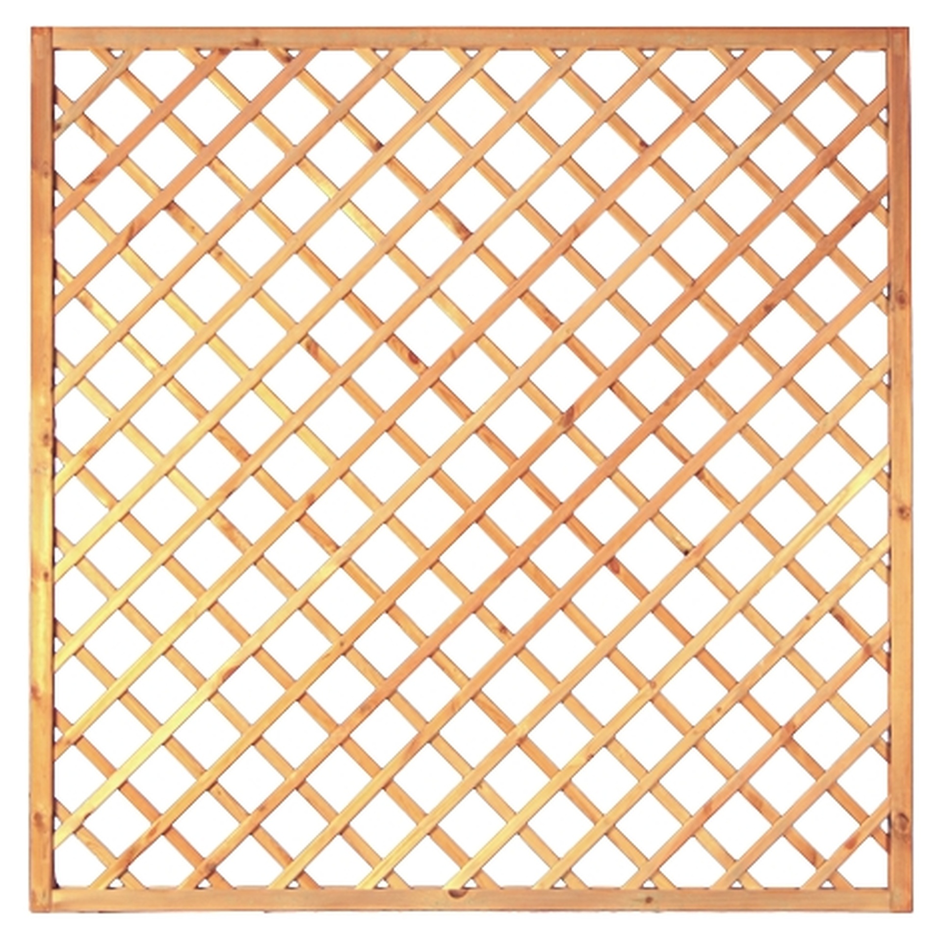 Diagonal-Rankzaun, genagelt 1 Diagonal-Rankzaun, genagelt