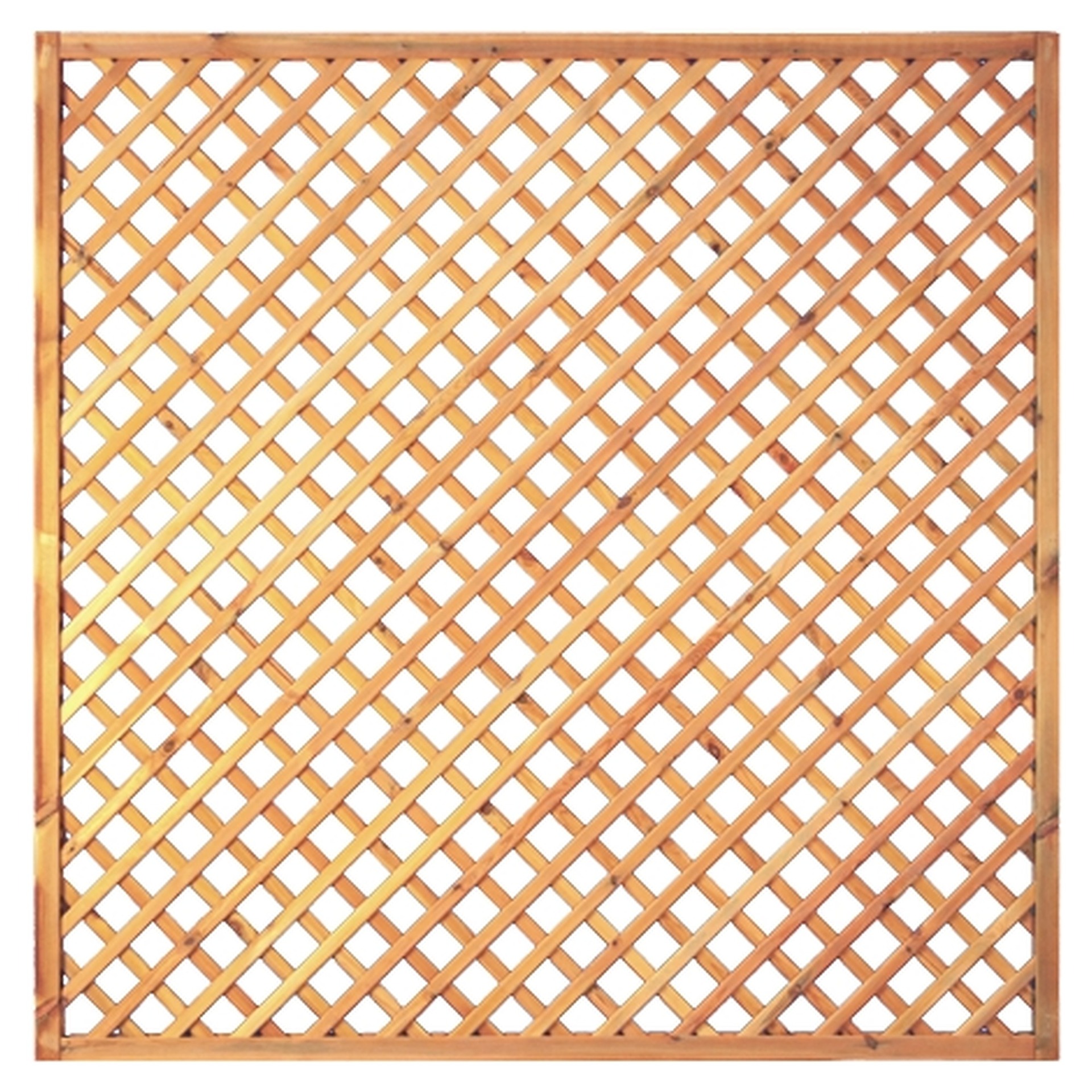 Diagonal-Rankzaun, genagelt 1 Diagonal-Rankzaun, genagelt