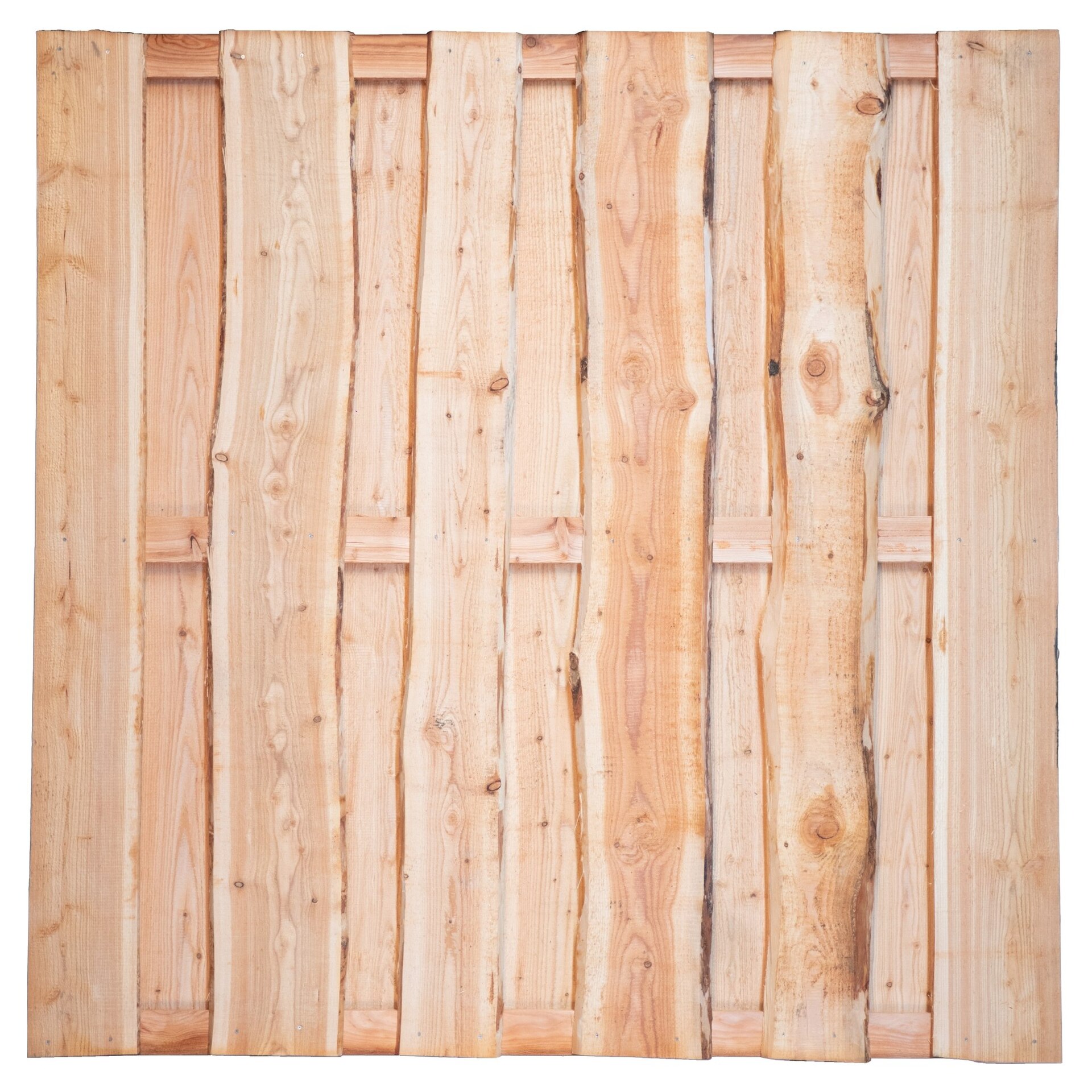 LOLLAND-Serie Lärche 1 LOLLAND-Serie Lärche