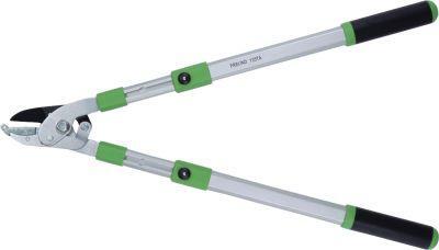 Freund Astschere 13-54 A 1 Freund Astschere 13-54 A