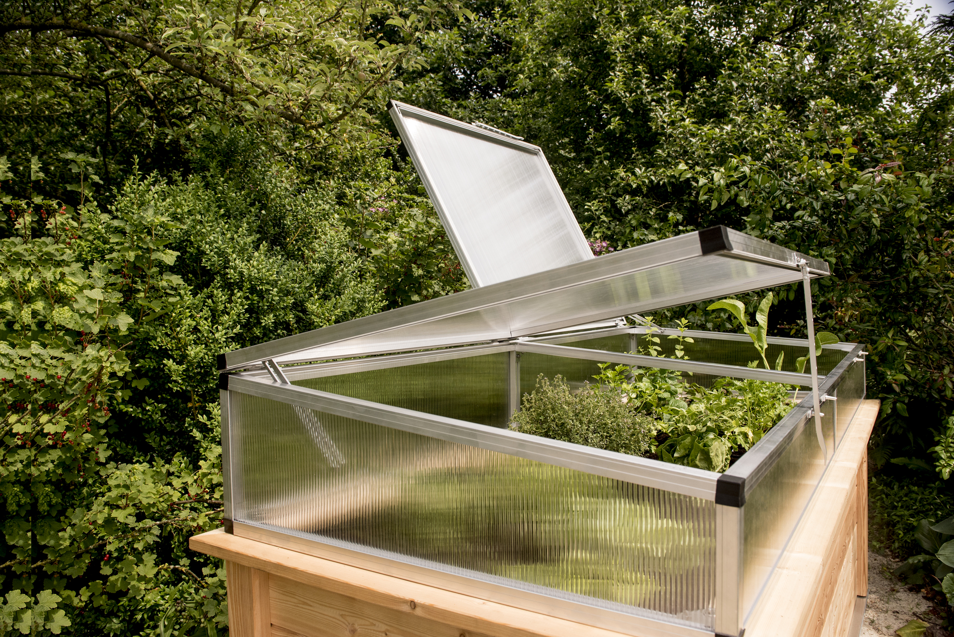 Frühbeetaufsatz 1 Frühbeetaufsatz