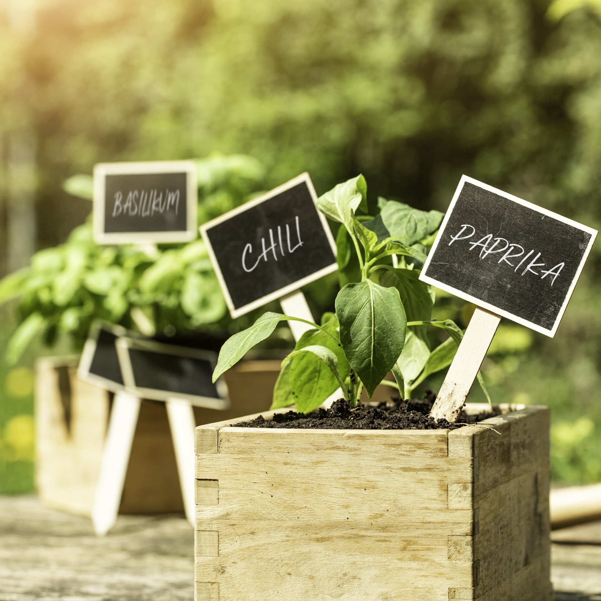 Stecketiketten Kreidetafel + Kreidestift 1 Stecketiketten Kreidetafel + Kreidestift