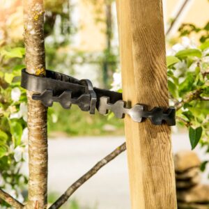 Gummi-Baumanbinder Set 2-tlg.