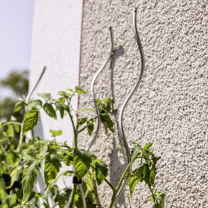 Tomatenspiralstab gerippt
