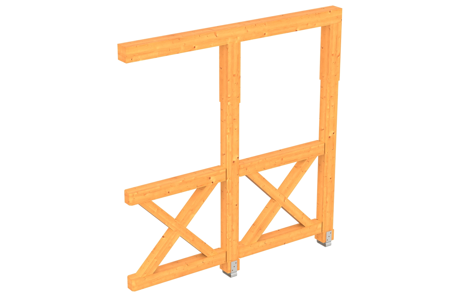 Douglasie 1 Douglasie