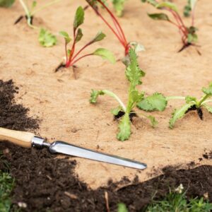 Jute-Vlies Mulchmatte