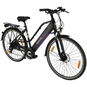 E-Trekkingbike MT-12