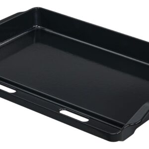 Plancha, Griddle Platte