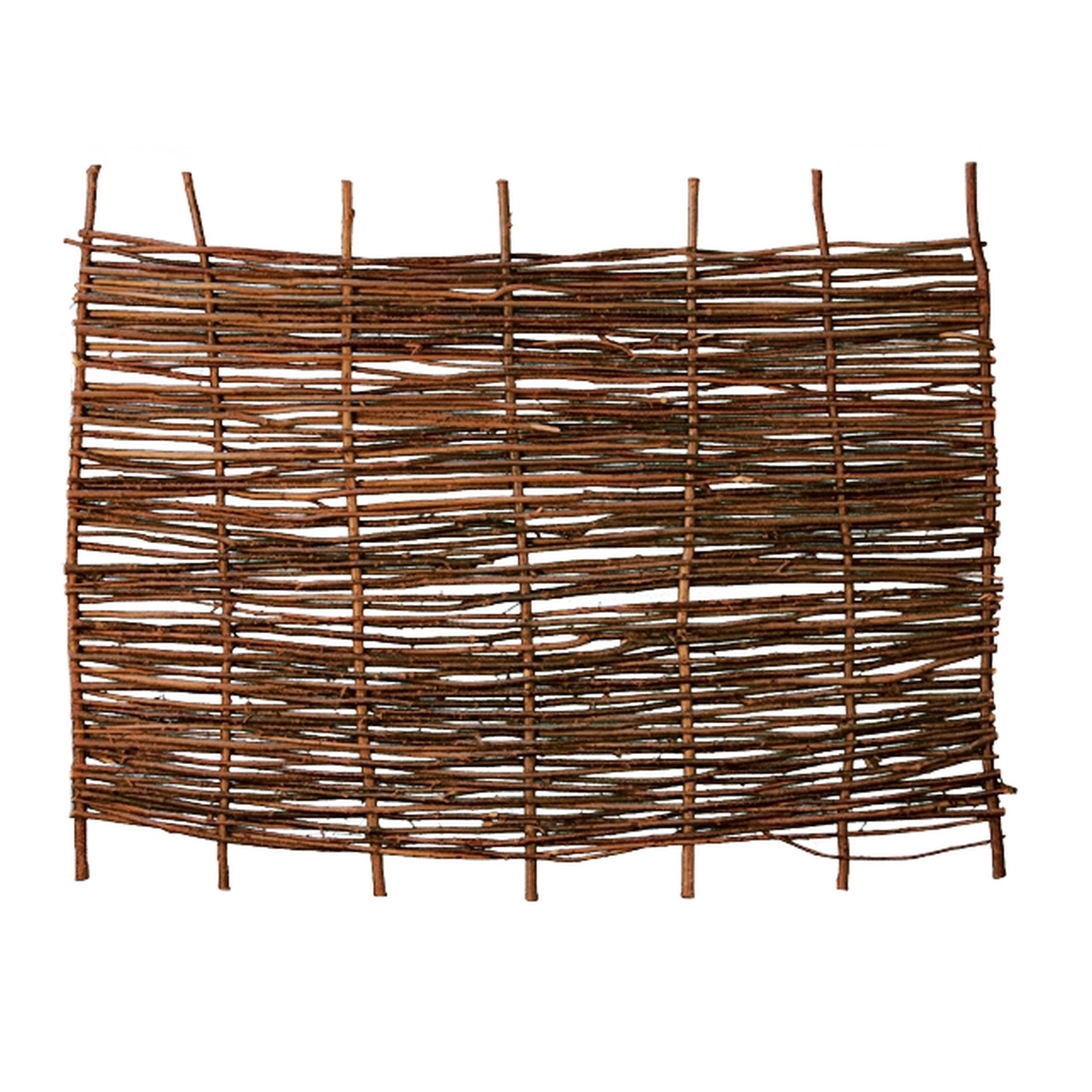 2779103 pablo haselnusszaun stabil