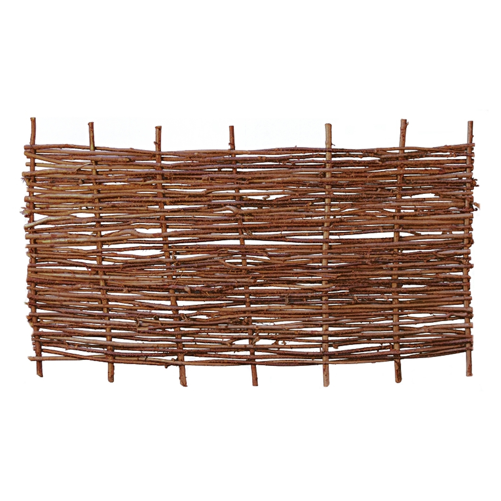 2779106 pablo haselnusszaun stabil