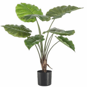 Künstliche Alocasia | Elefantenohr | +/- 70cm | ø 12cm Topf