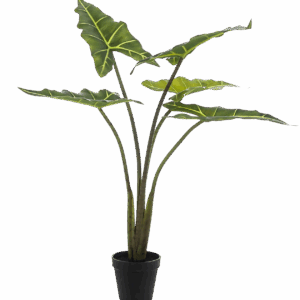 Künstliche Alocasia “Frydek” | Elefantenohr | +/- 80cm | ø 12cm Topf
