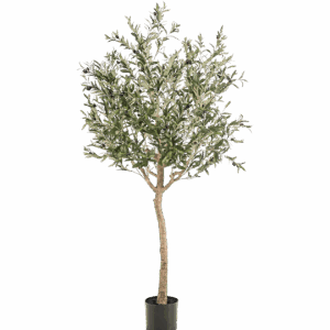 Künstlicher Olivenbaum | Olea europaea | +/- 180cm | ø 15cm Topf