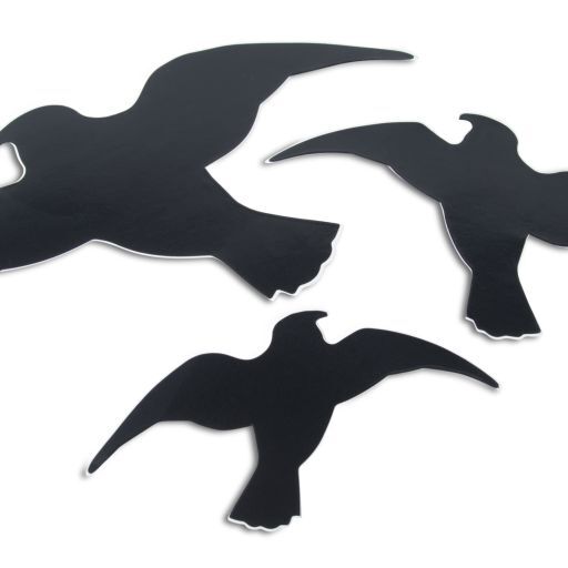 1174245 vogelsilhouette
